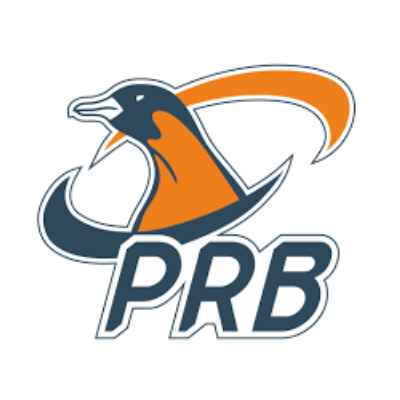 Pinguinas RB
